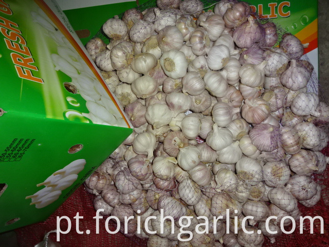 High Quality Normal Garlic 2019